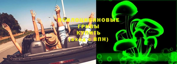 индика Алзамай