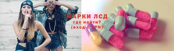 индика Алзамай