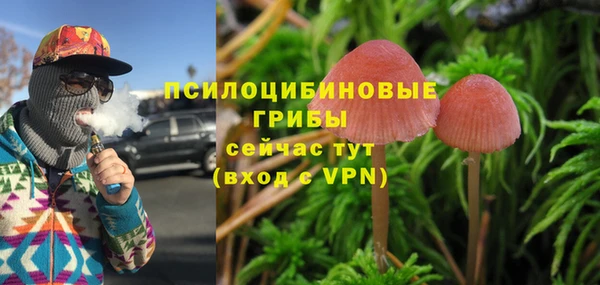индика Алзамай