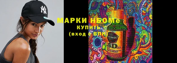 индика Алзамай