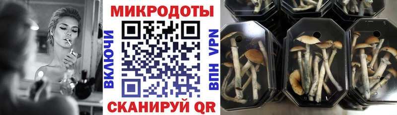 Псилоцибиновые грибы Magic Shrooms  закладки  Кимры 